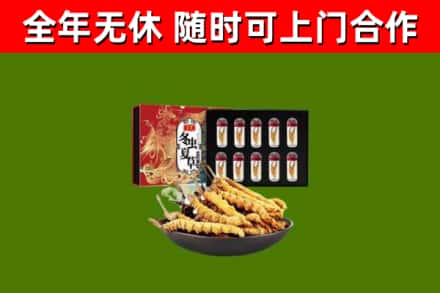 赣县区回收冬虫夏草价格